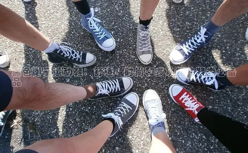 意昂3登陆入口ARGA公司黑色椰子运动鞋：舒适、时尚和多功能的鞋类必备
品