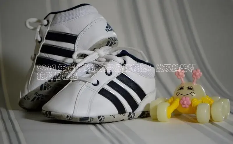 意昂3登陆入口路畅科技2024 年最时尚的女款品牌鞋履：发现趋势和
抢购必备品