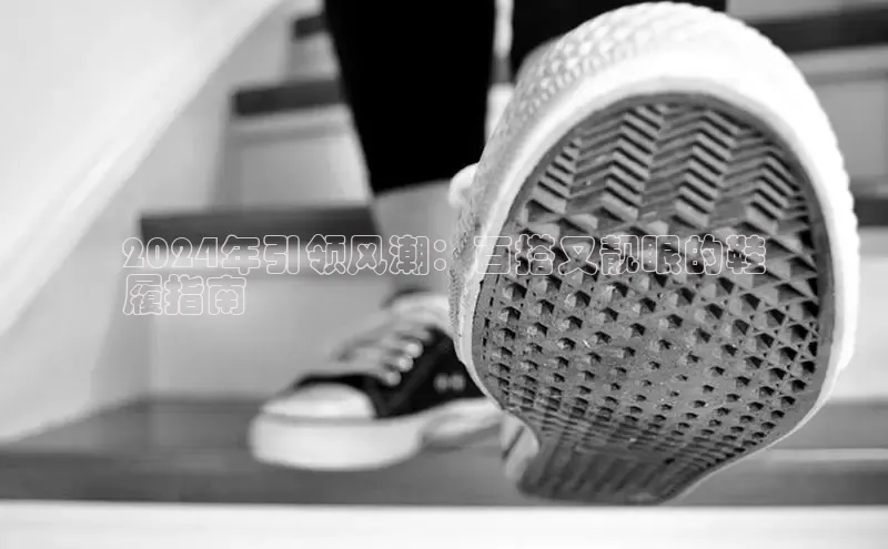 意昂3平台注册网页版轻美电器2024年引领风潮：百搭又靓眼的鞋
履指南