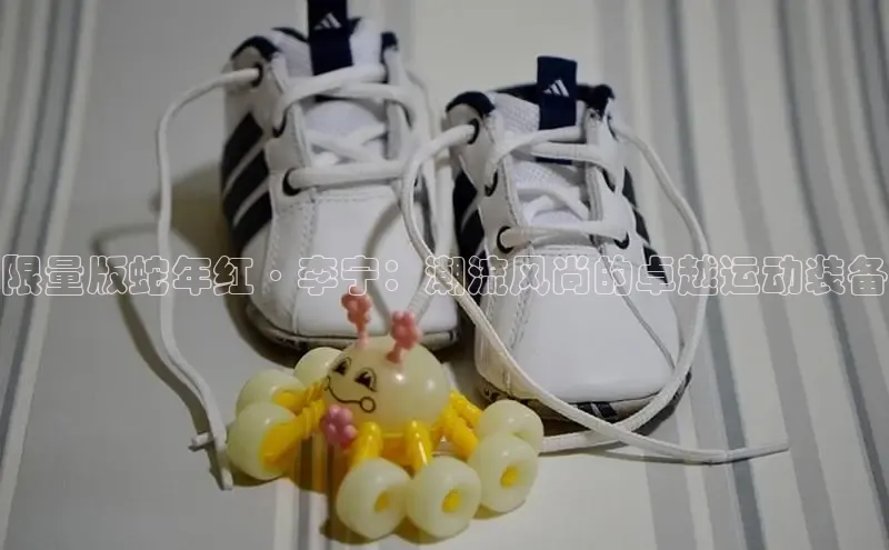 限量版蛇年红·李宁：潮流风尚的卓越运动装备